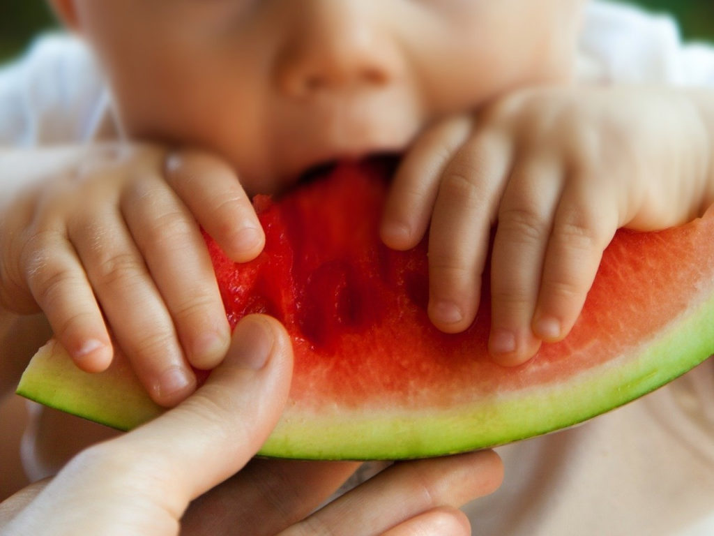 baby led weaning alimentación